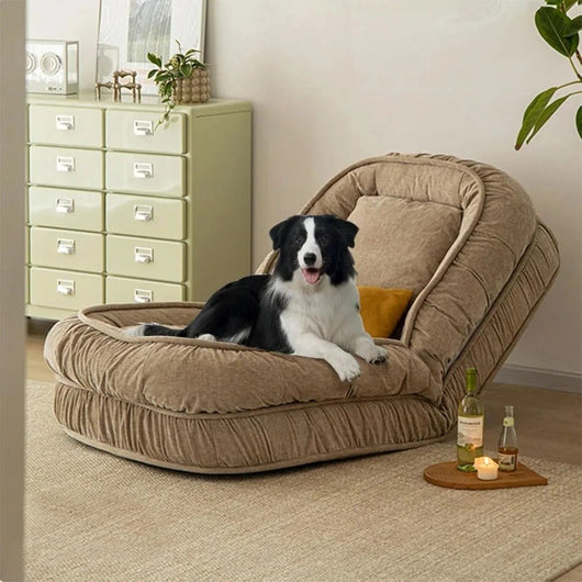 Foldable Lazy Sofa Bed - AxenBox