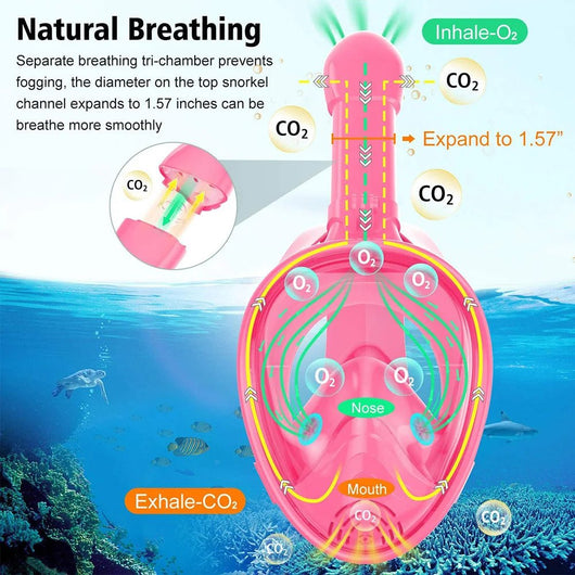 Full Face Snorkeling Mask with Removable Camera Holder - AxenBox