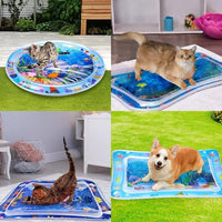 Pet Water Sensory Mat, Gift For Pet Lovers - AxenBox