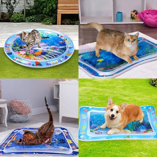 Pet Water Sensory Mat, Gift For Pet Lovers - AxenBox