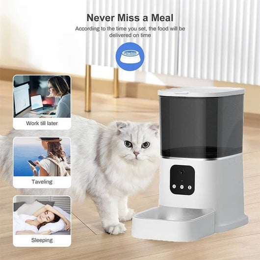 Smart WiFi Cat Feeder with Camera & Audio – 6L - AxenBox